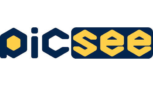 PicSee Inc. 透視數據