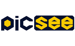 PicSee Inc. 透視數據